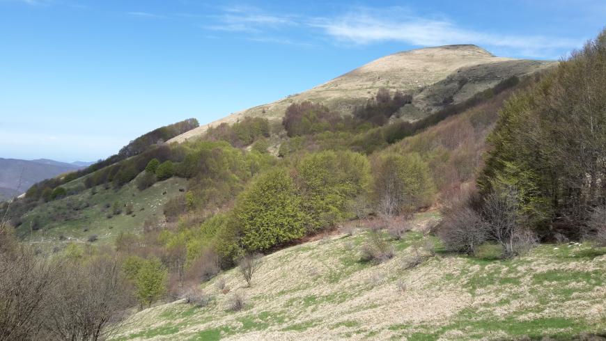 I prati pascolo sommitali del Monte Carmo.