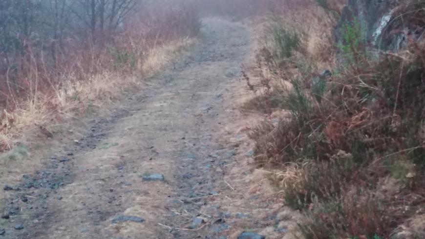 tagliafuoco monte casto