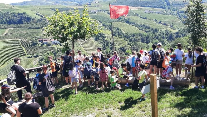 terrazza sul panorama delle Langhe