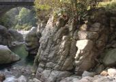 Torrente Cervo