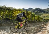 Roero bike tour