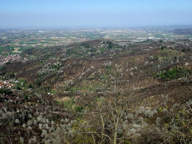 Panorama sulla pianura dal Bric Berciassa